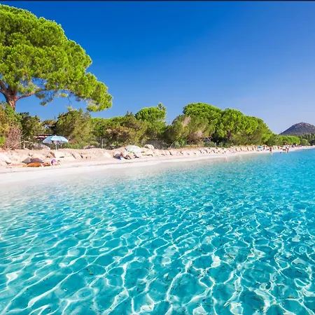 Apartment Cala Rossa T2 Neuf A 800 M De La N 81 Lecci