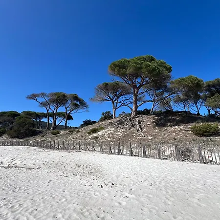 Cala Rossa T2 Neuf A 800 M De La N 81