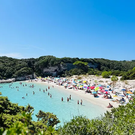 Cala Rossa T2 Neuf A 800 M De La N 81 Apartment
