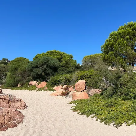 Apartment Cala Rossa T2 Neuf A 800 M De La N 81 *