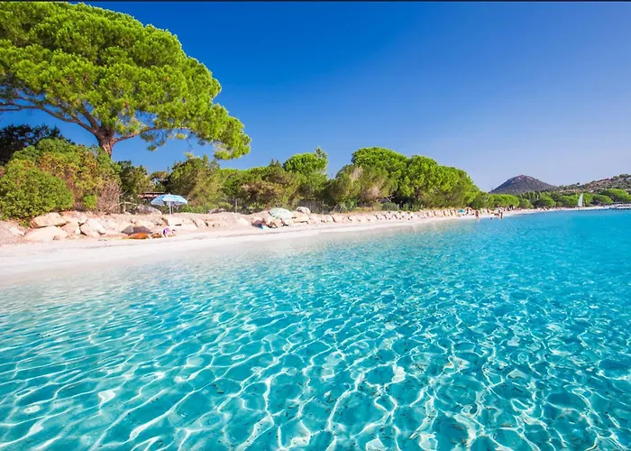 Apartment Cala Rossa T2 Neuf A 800 M De La N 81 Lecci