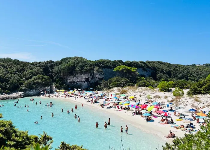 Cala Rossa T2 Neuf A 800 M De La N 81 Apartment